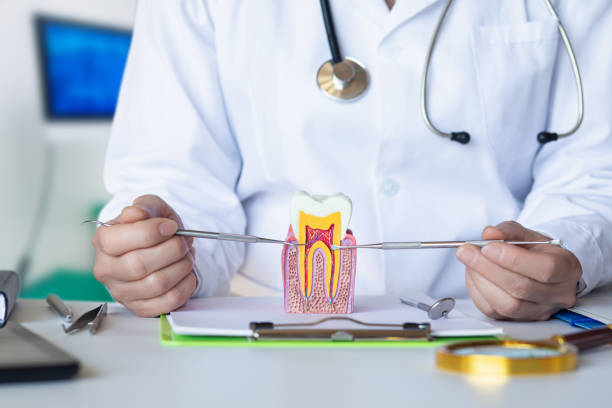 Best Emergency Dental Extractions in Howe, TX